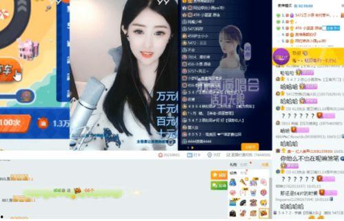 苏子爆料倪海杉视频播放,真相与争议并存  第3张